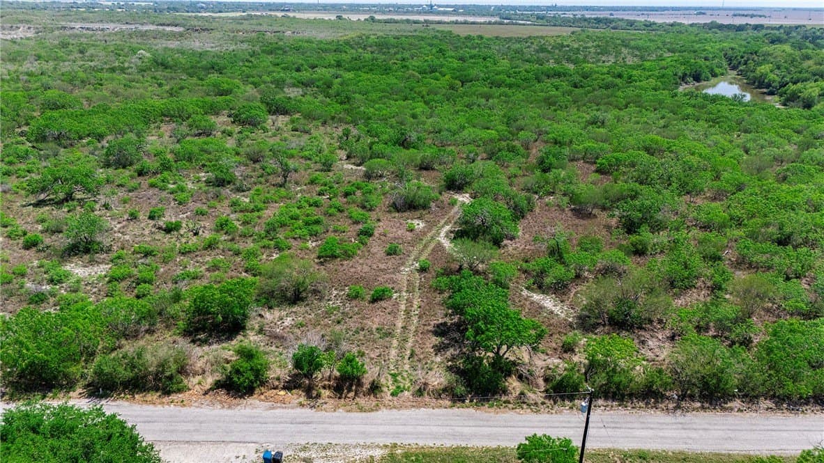 60 acres in San Patricio County - photo 12