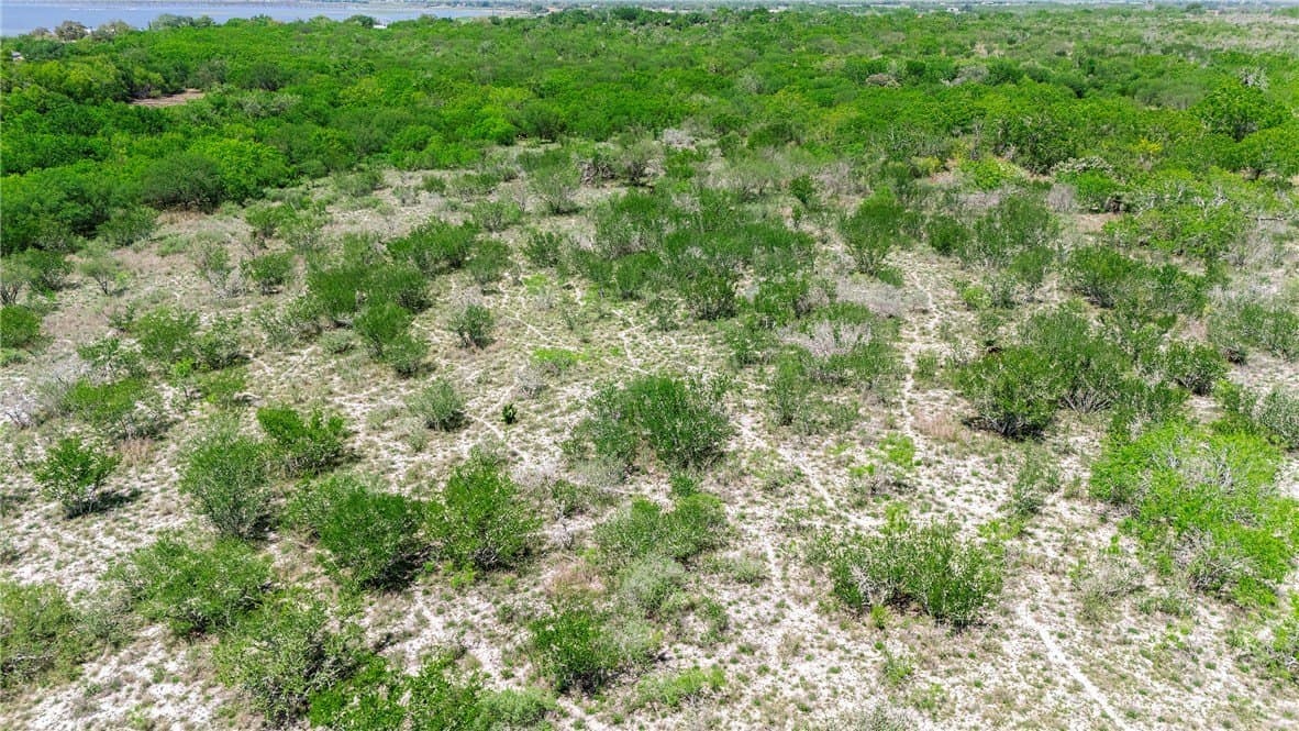 60 acres in San Patricio County - photo 19