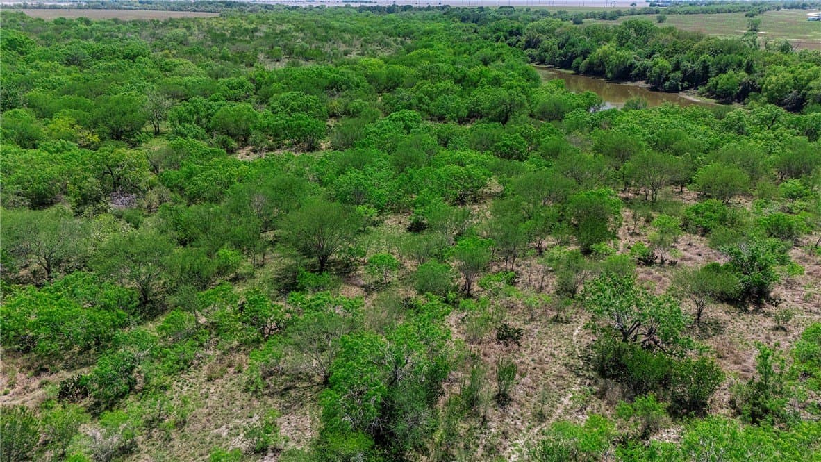60 acres in San Patricio County - photo 15