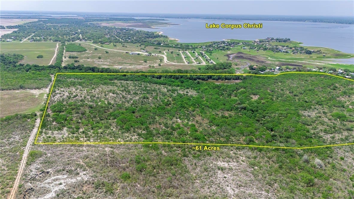60 acres in San Patricio County gallery image 3