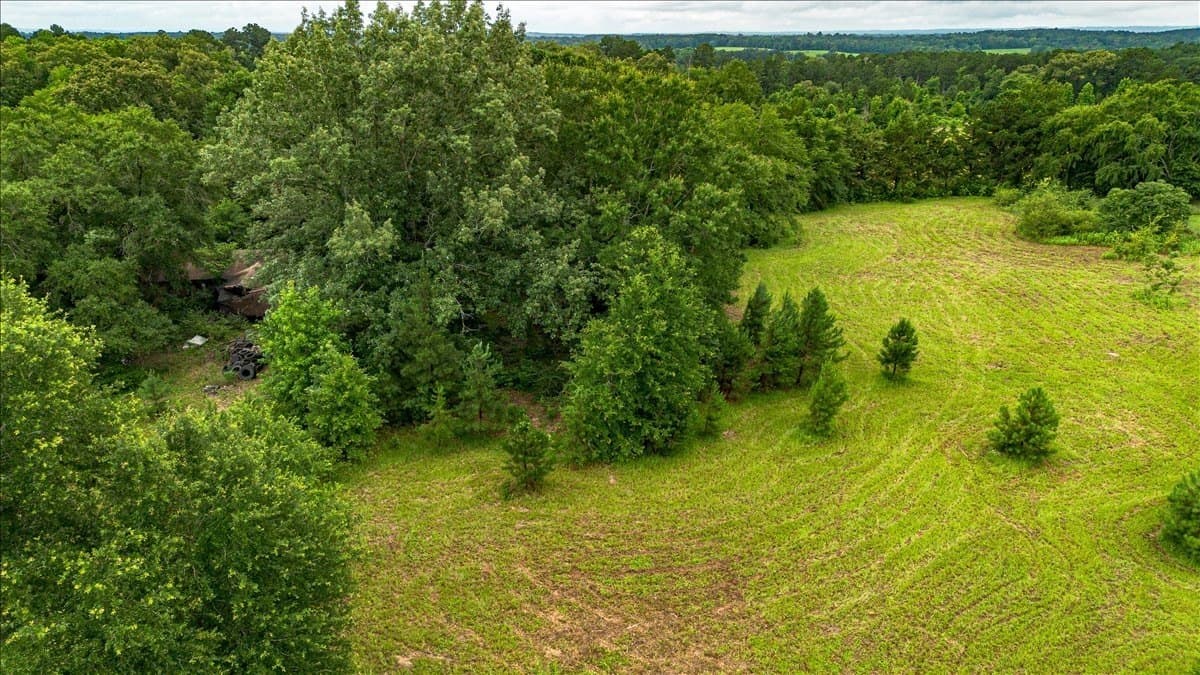 3.92 acres in Cherokee County - photo 12