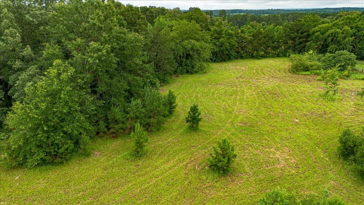 3.92 acres in Cherokee County - photo 11