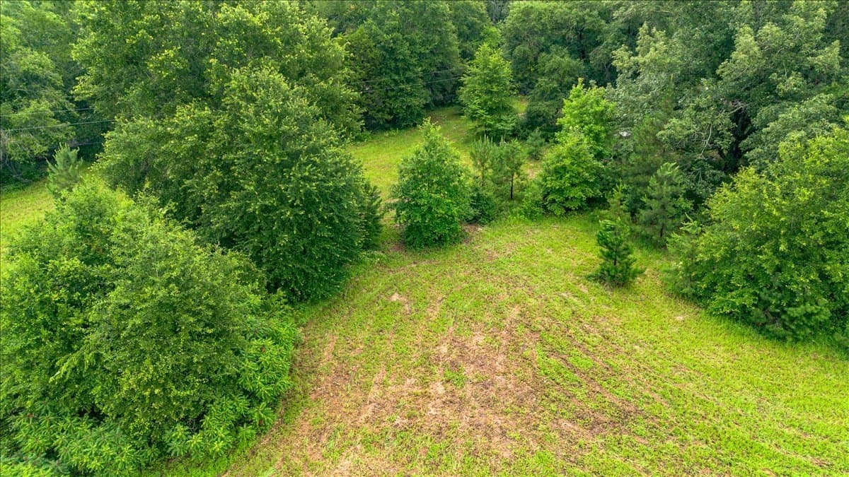 3.92 acres in Cherokee County - photo 10