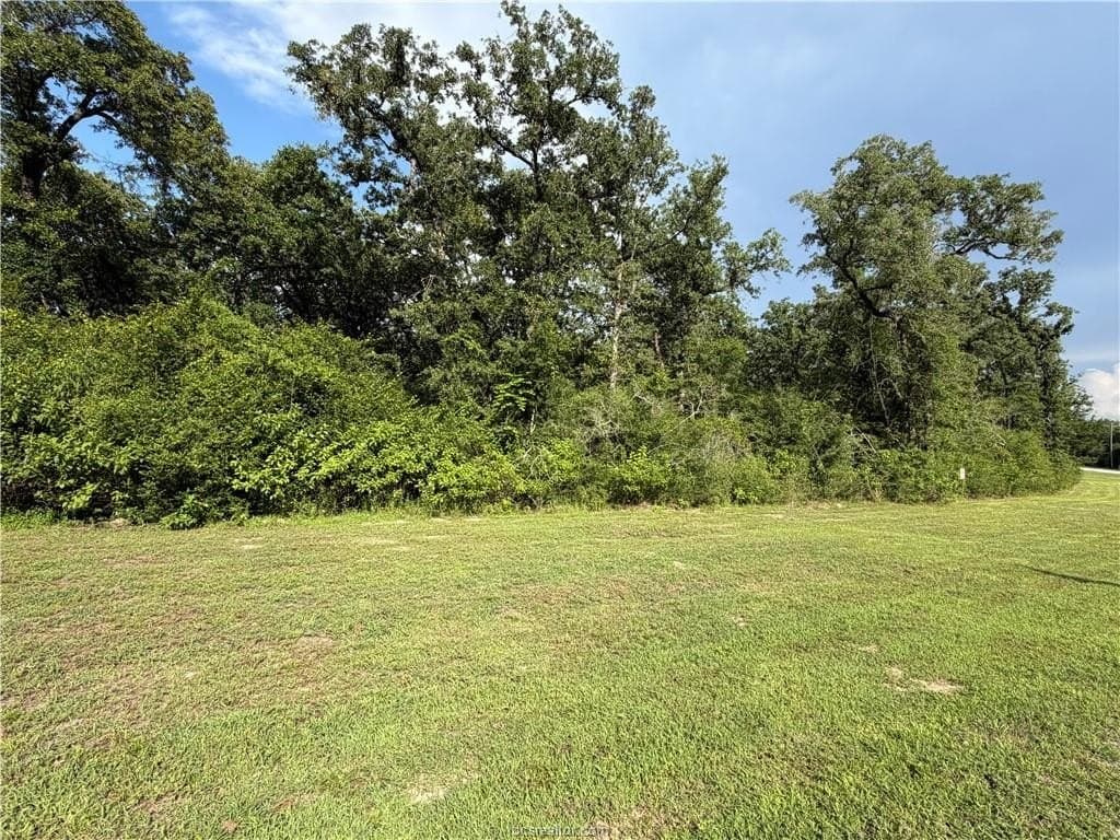5.51 acres in Robertson County - photo 11