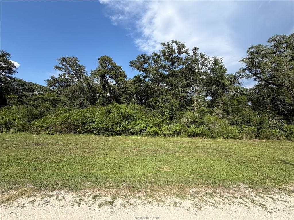 5.51 acres in Robertson County - photo 6