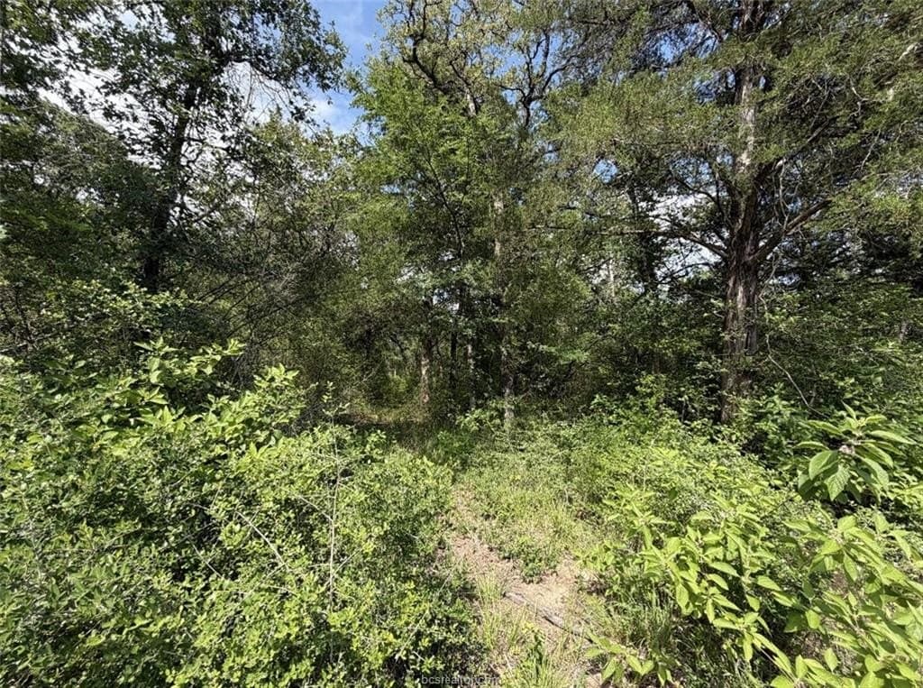 5.51 acres in Robertson County gallery image 4