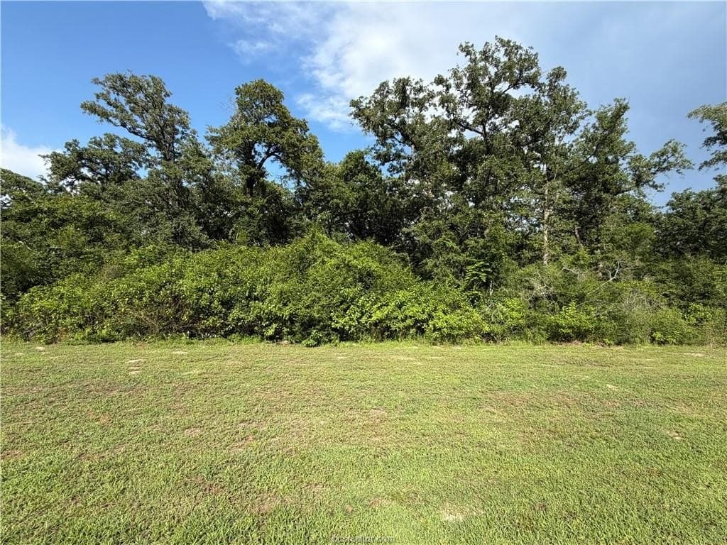 5.51 acres in Robertson County - photo 10