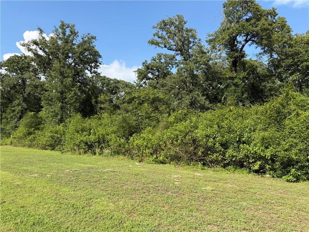 5.51 acres in Robertson County - photo 9