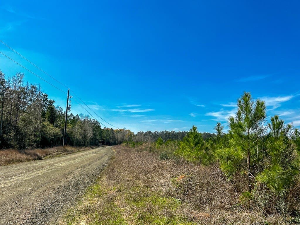 49 acres in Texas County gallery image 4