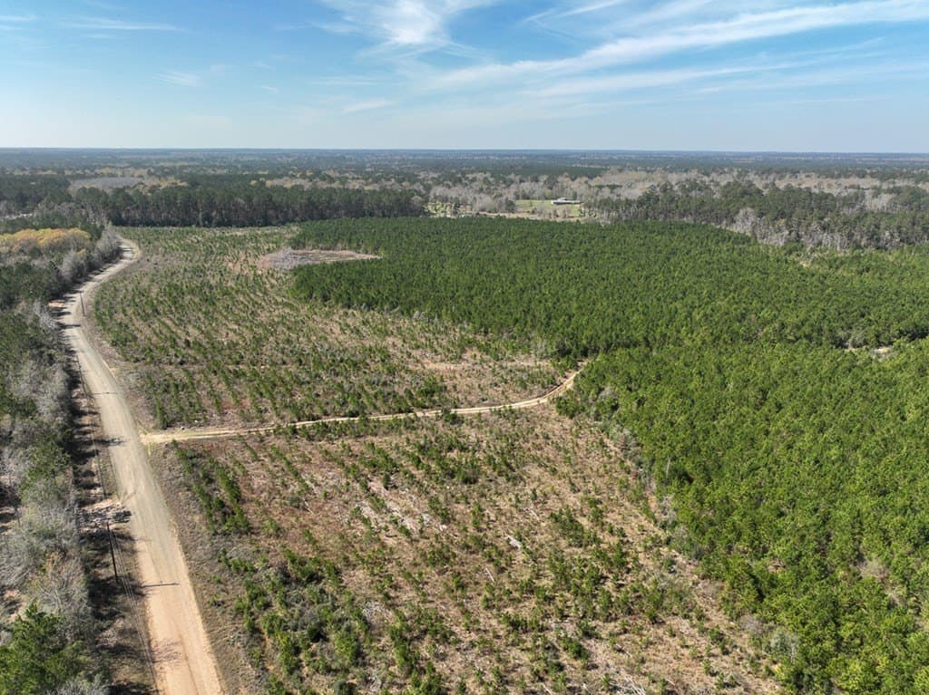 49 acres in Texas County gallery image 2