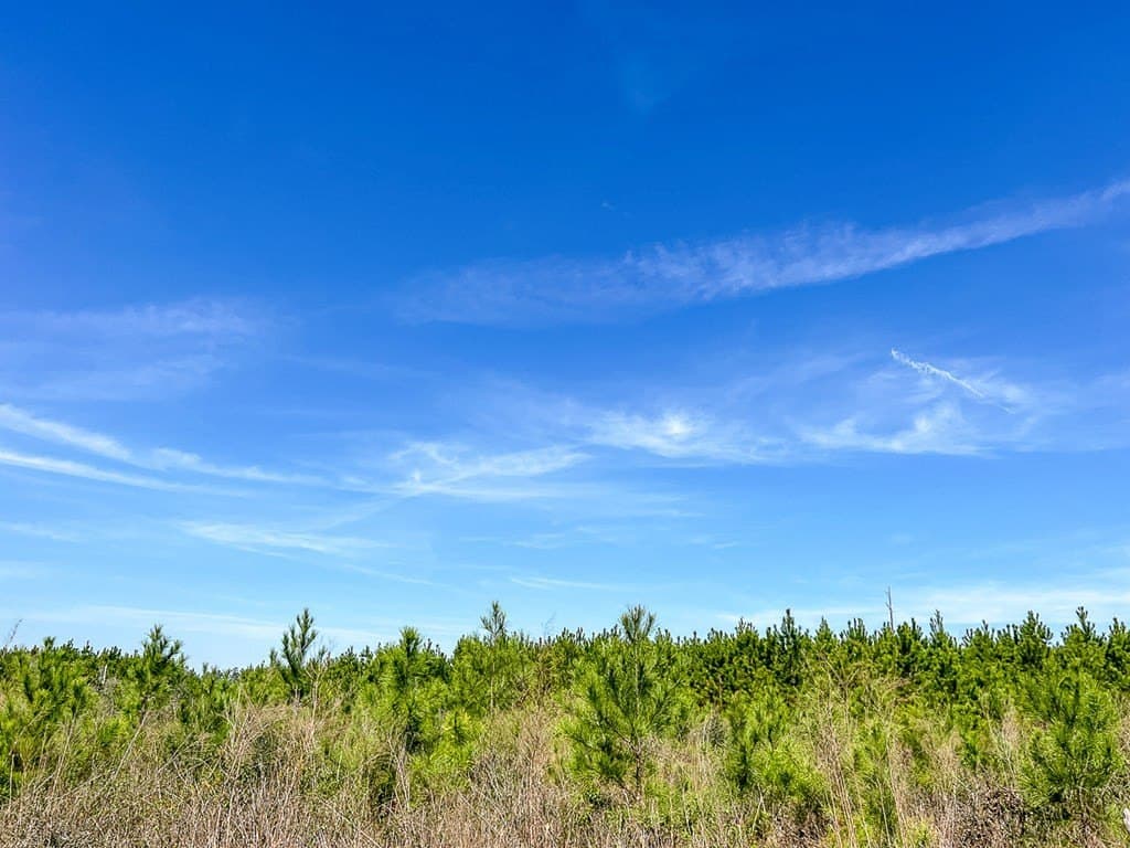 49 acres in Texas County featured view