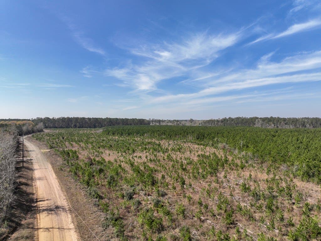 49 acres in Texas County gallery image 3