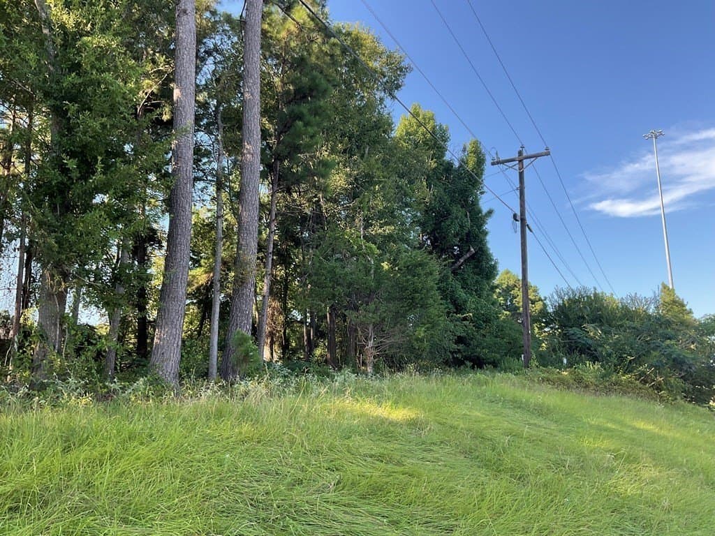 1.17 acres in Angelina County featured view