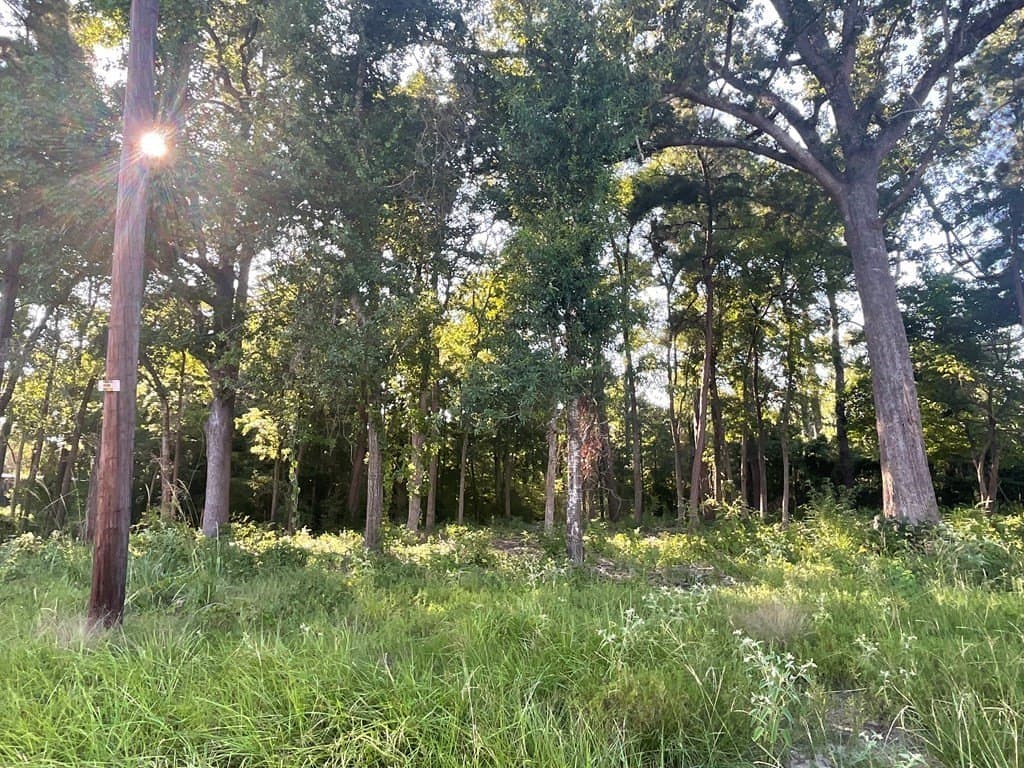 1.17 acres in Angelina County gallery image 3