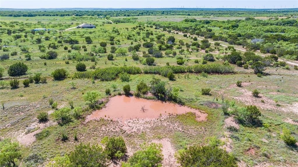 30.08 acres in Taylor County gallery image 3