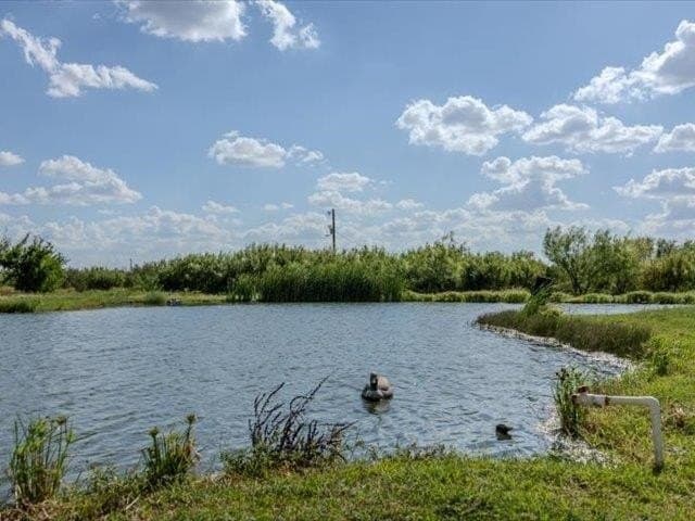 11.09 acres in WEBB County - photo 26