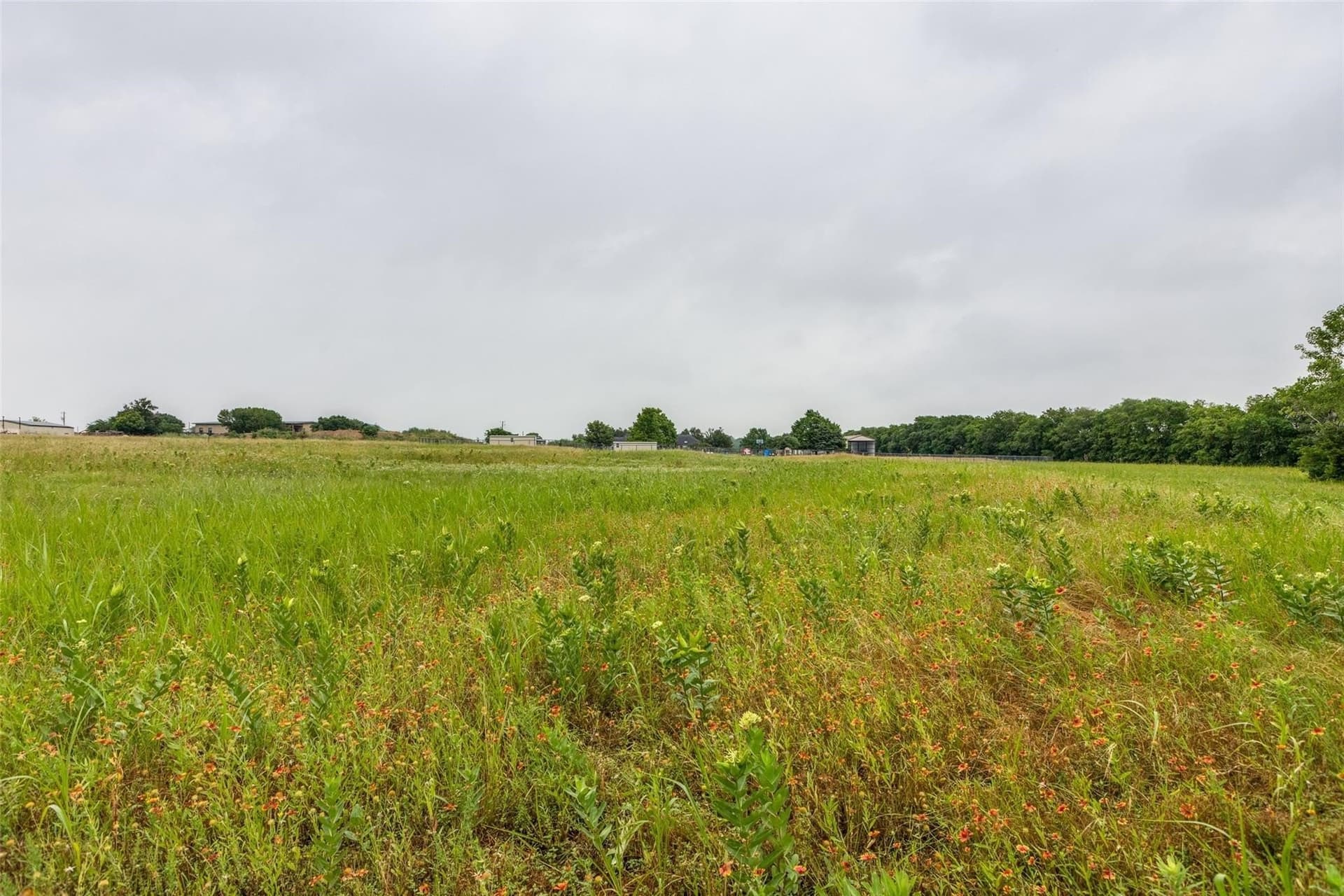 5.04 acres in Collin County - photo 18