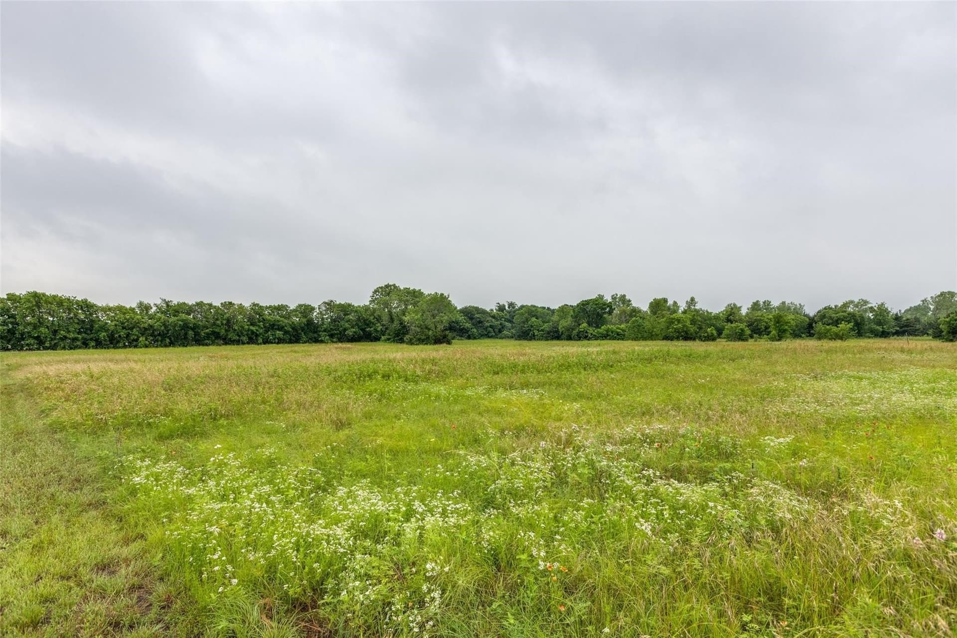 5.04 acres in Collin County - photo 15