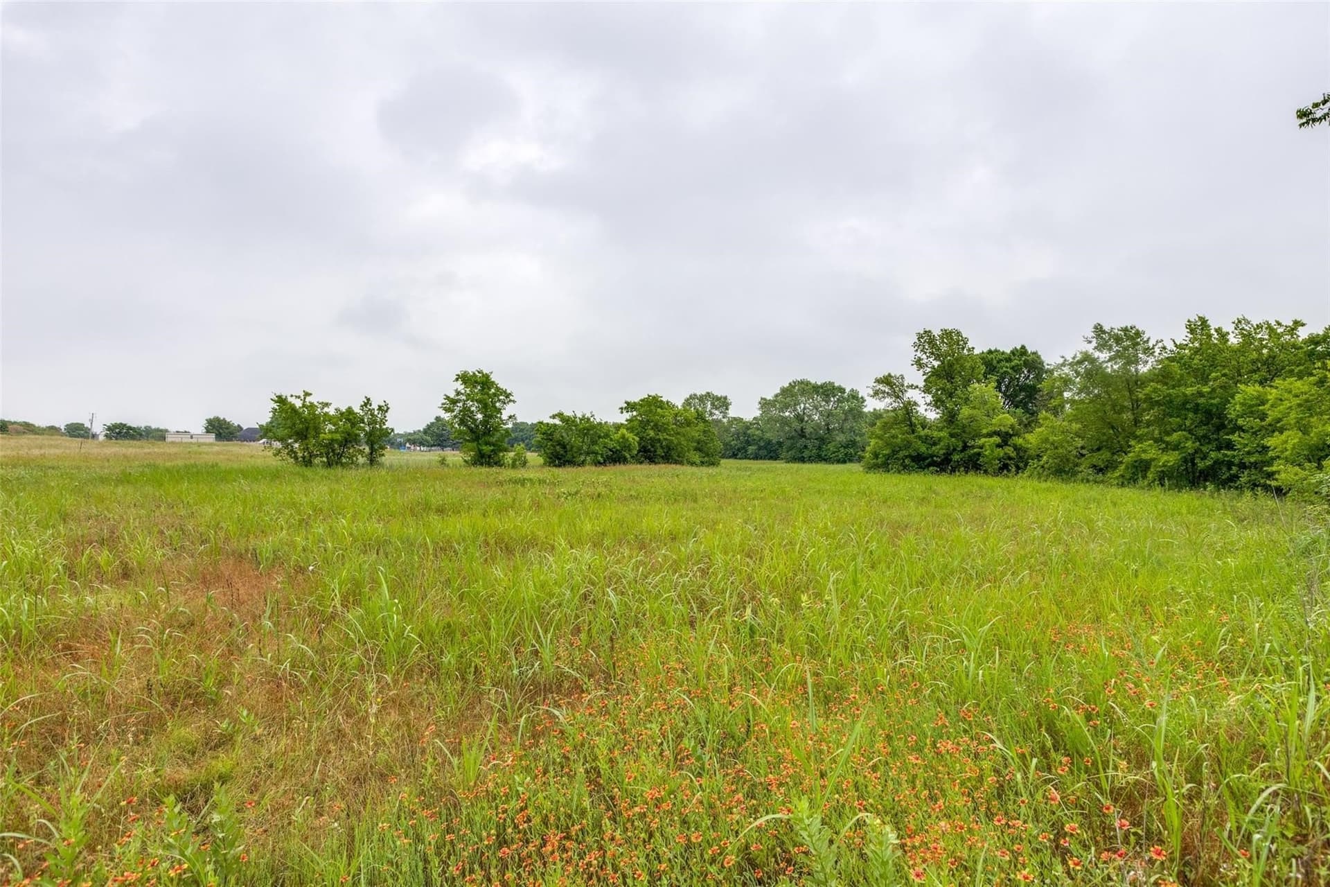 5.04 acres in Collin County - photo 14