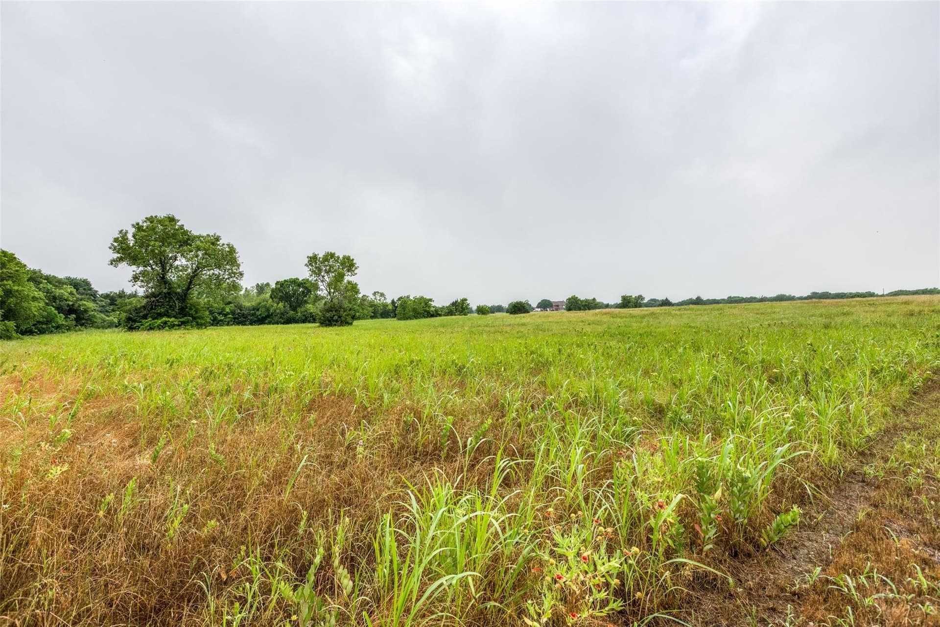 5.04 acres in Collin County - photo 17