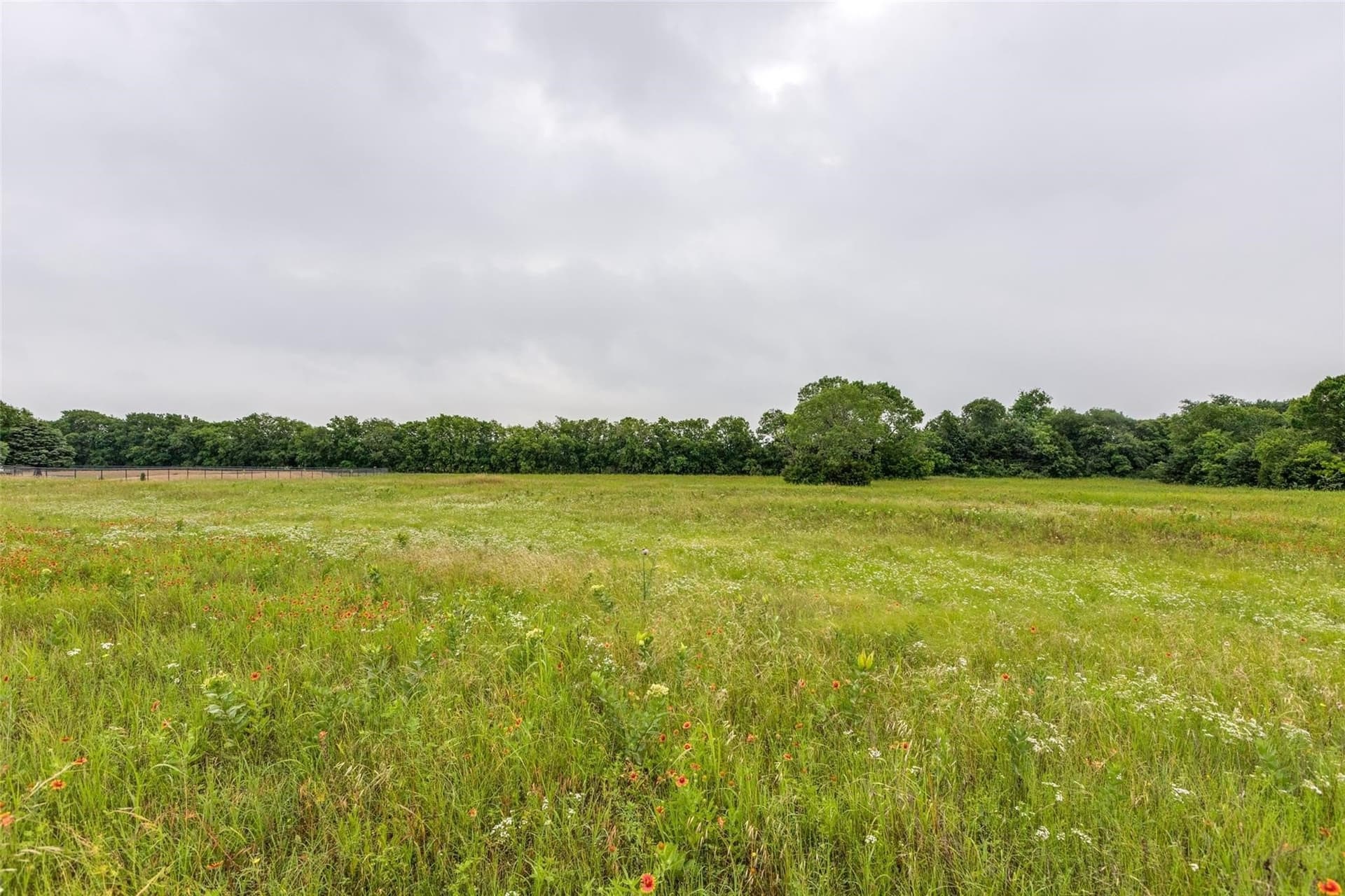 5.04 acres in Collin County - photo 13