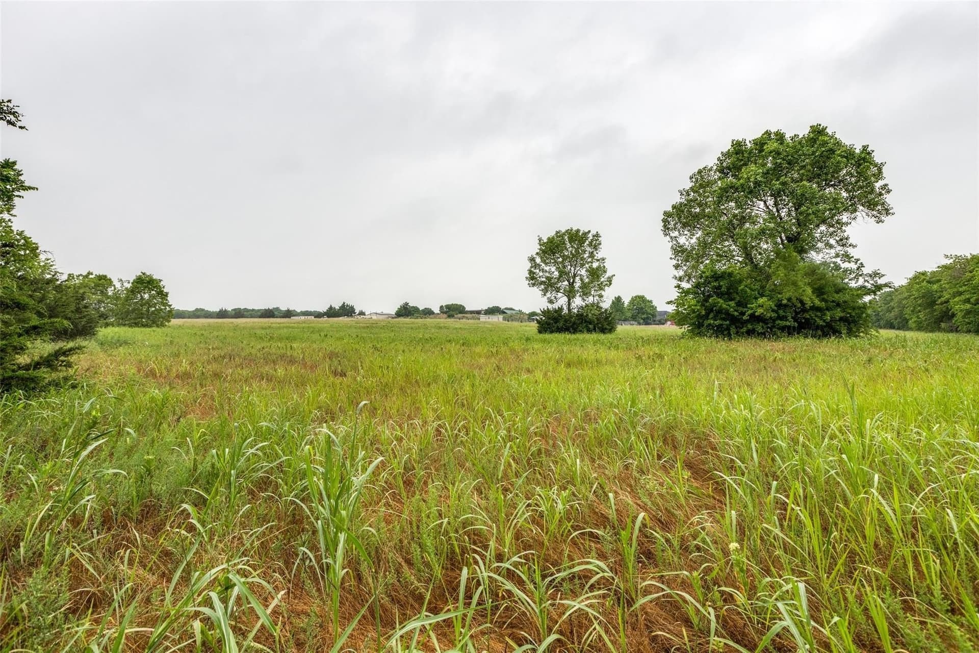 5.04 acres in Collin County - photo 19