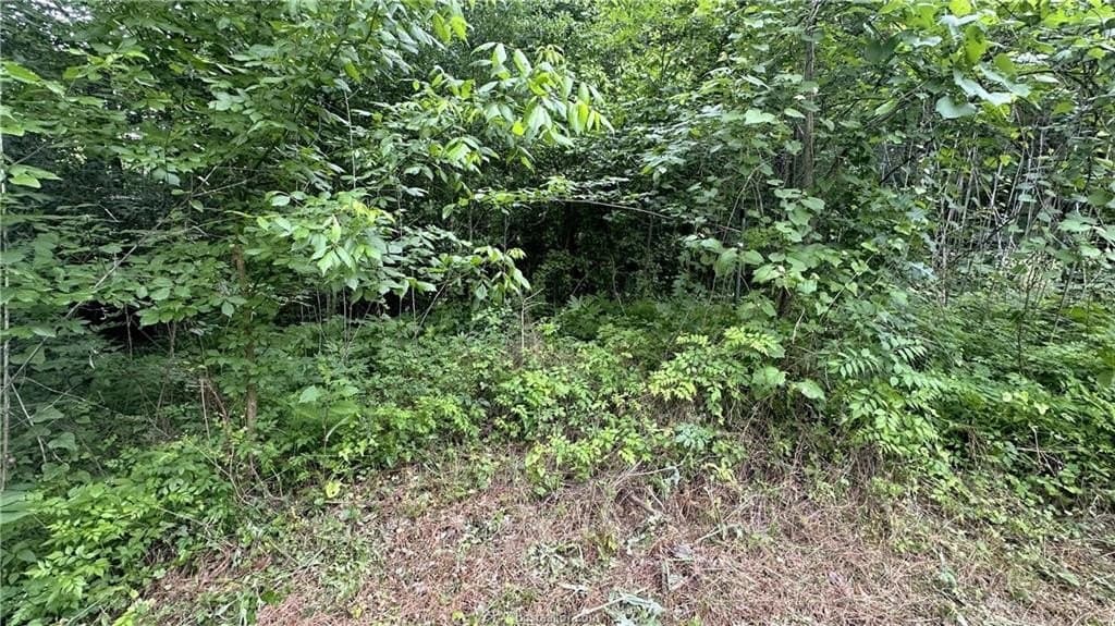 0.28 acres in Walker County - photo 8