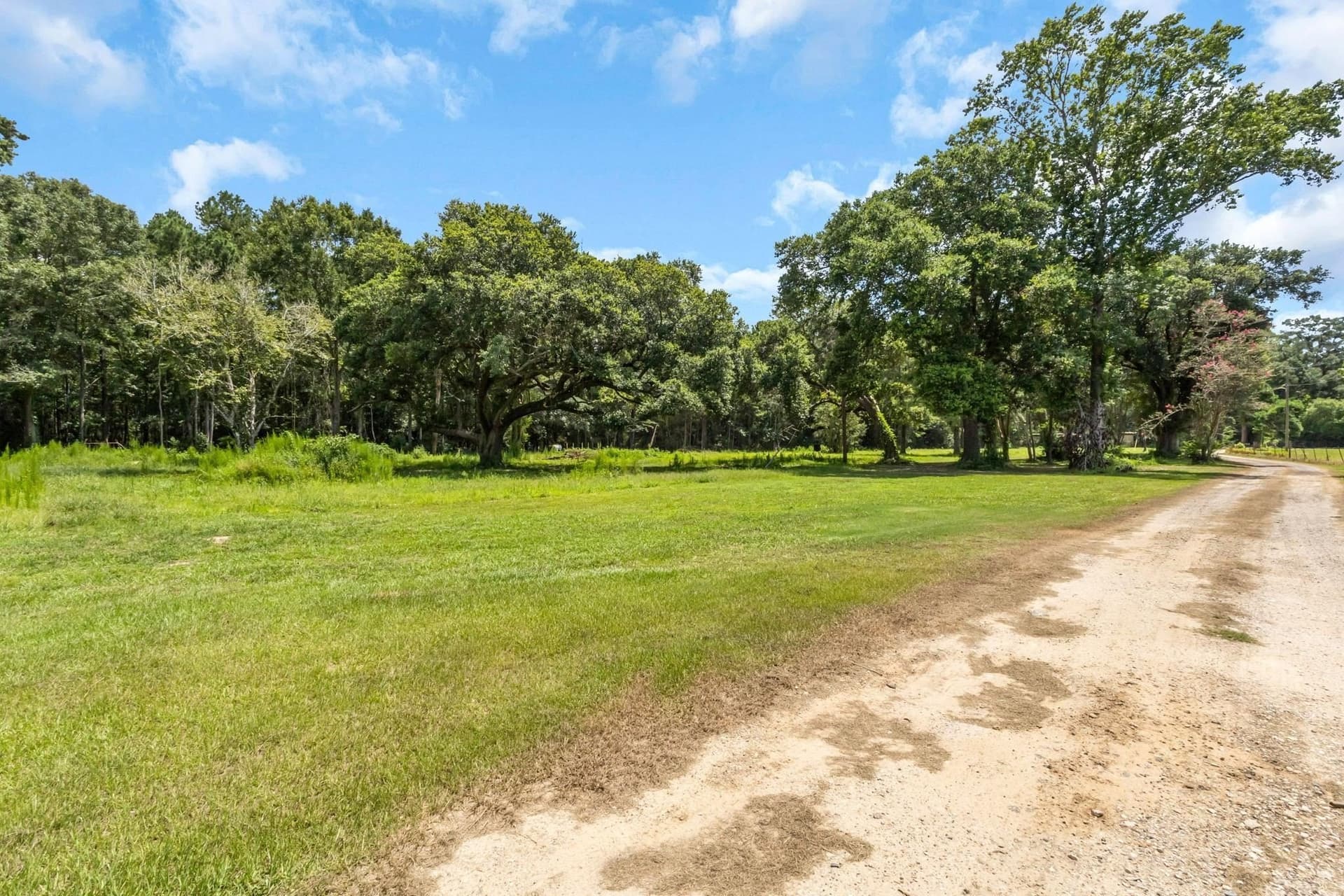 23.66 acres in Texas County - photo 29
