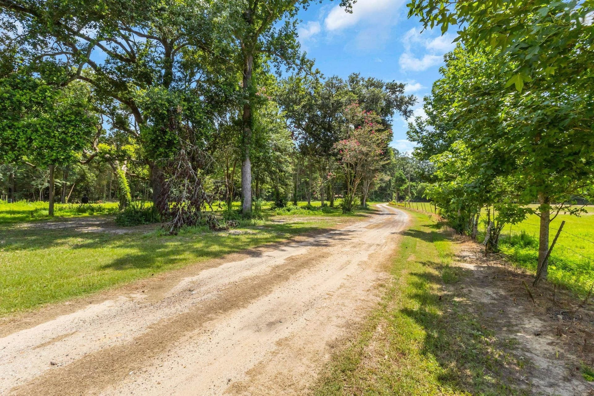 23.66 acres in Texas County - photo 30