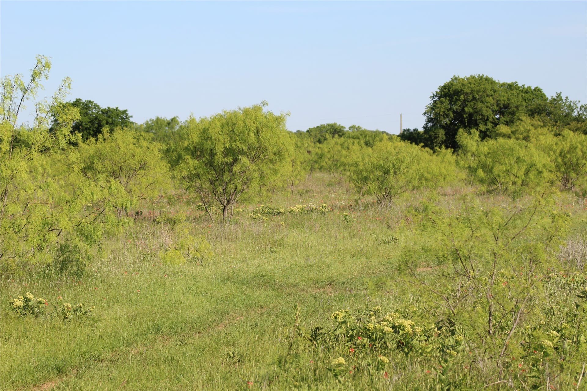 40 acres in Jack County - photo 16