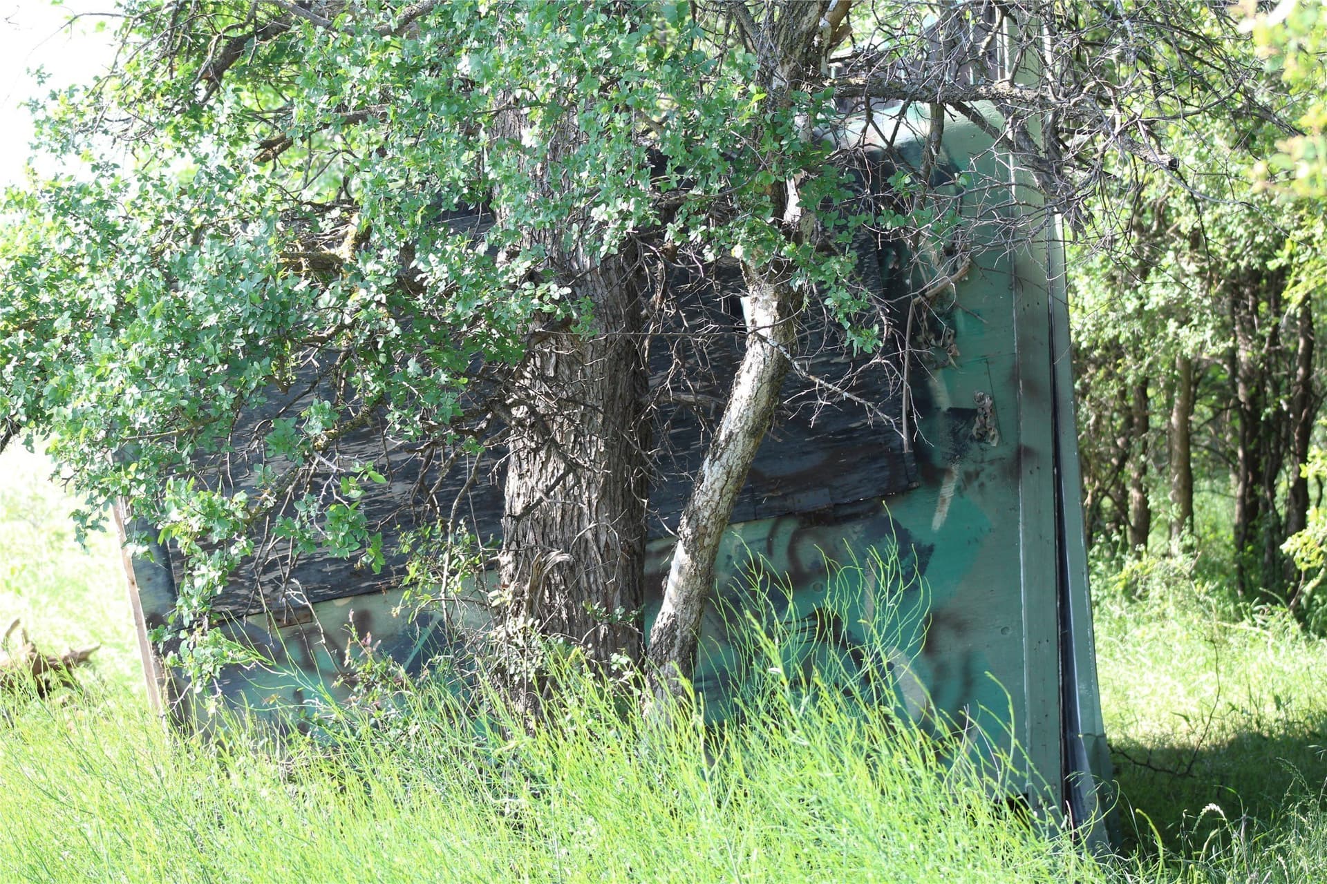 40 acres in Jack County - photo 12