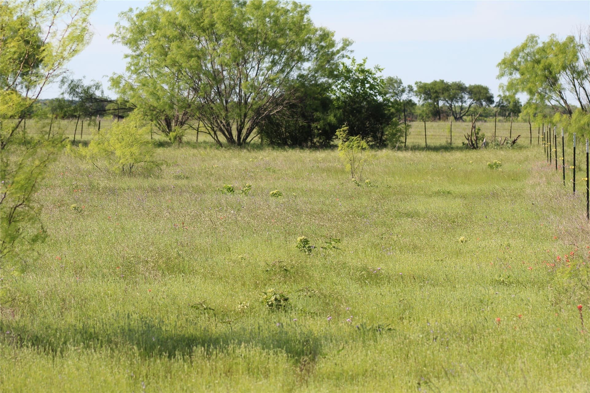 40 acres in Jack County - photo 9