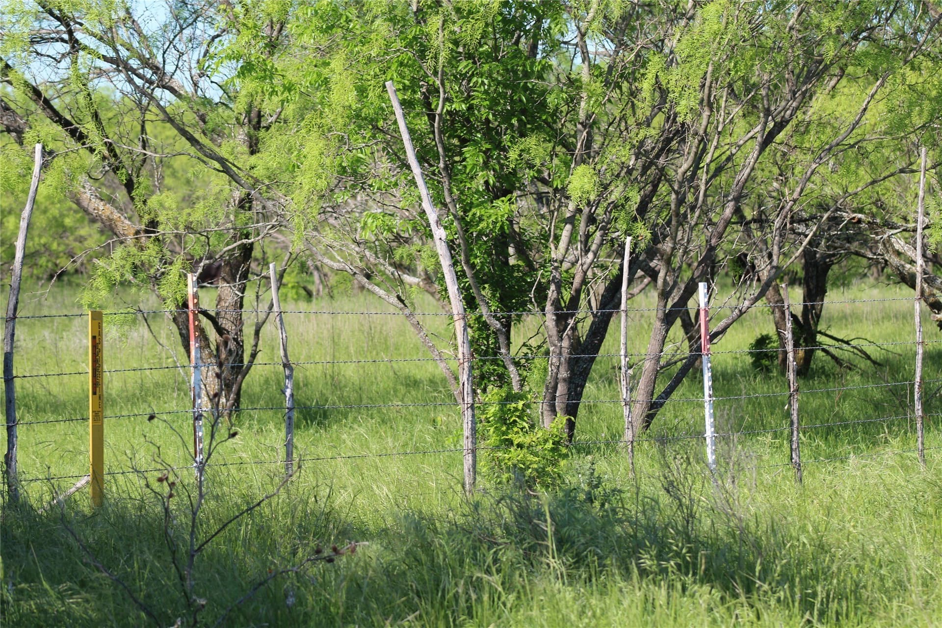 40 acres in Jack County - photo 15