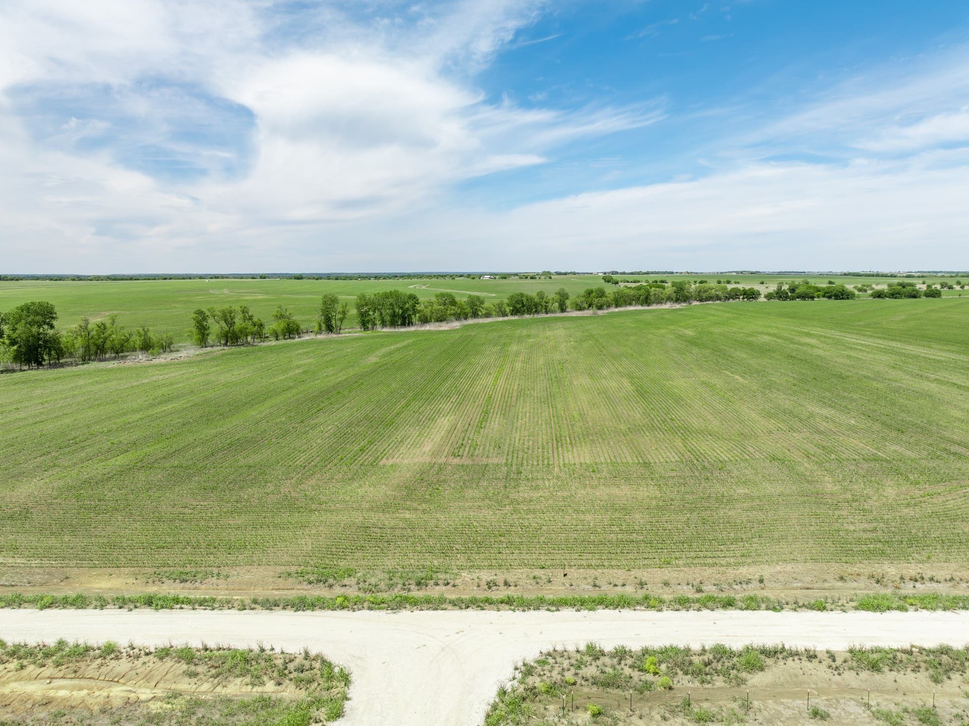 10.01 acres in Hill County - photo 2