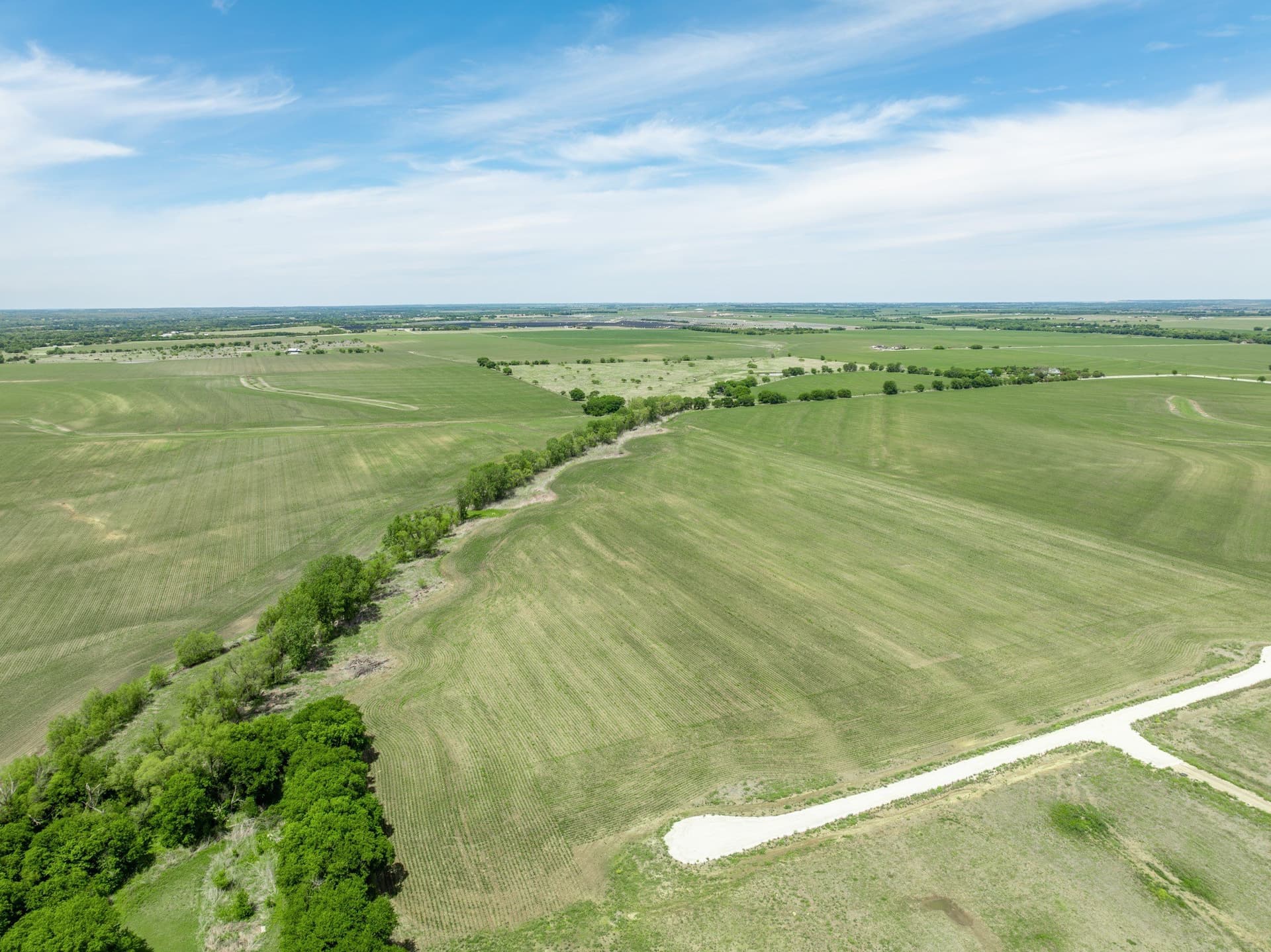 10.01 acres in Hill County - photo 7