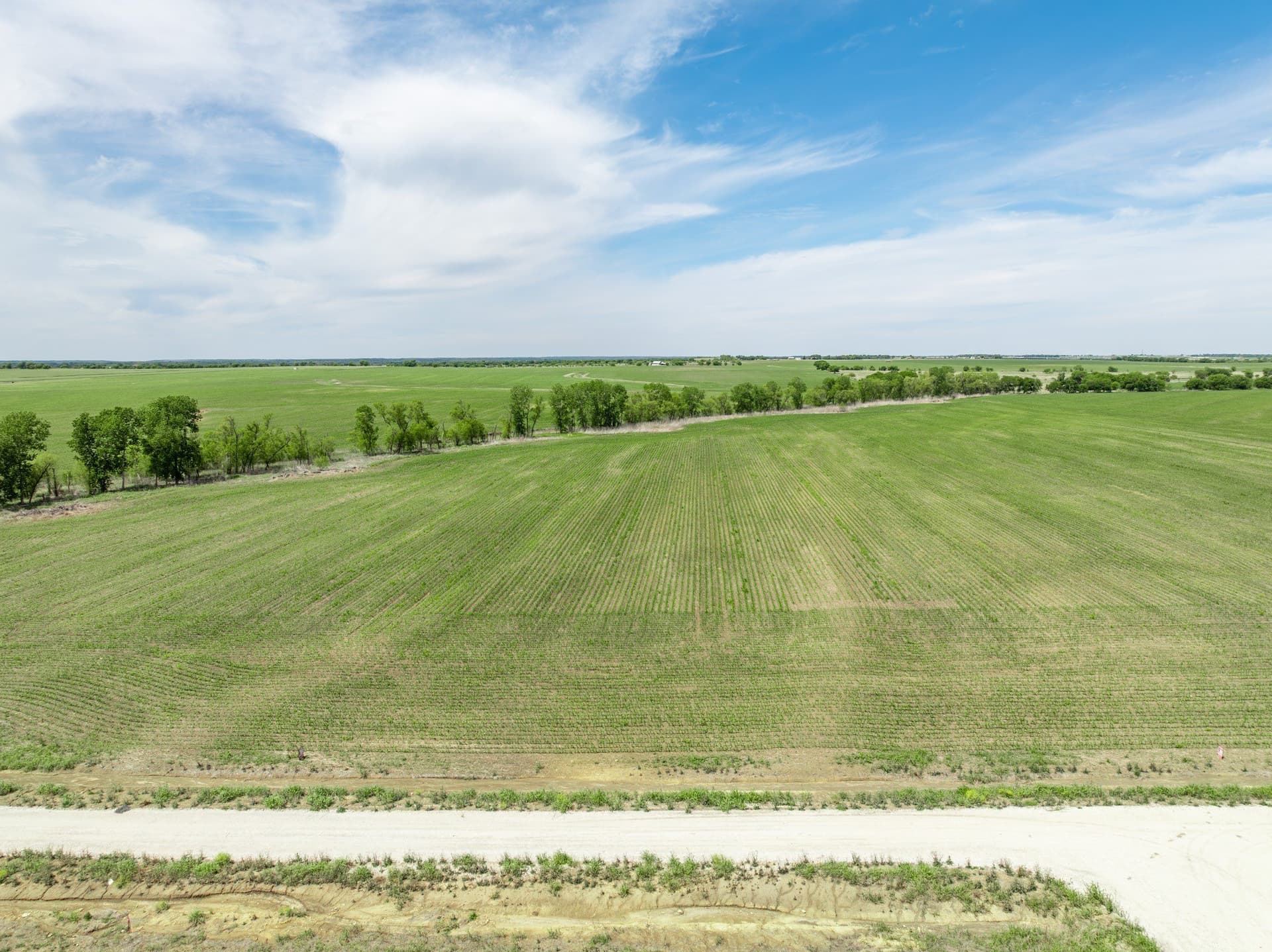10.01 acres in Hill County - photo 3