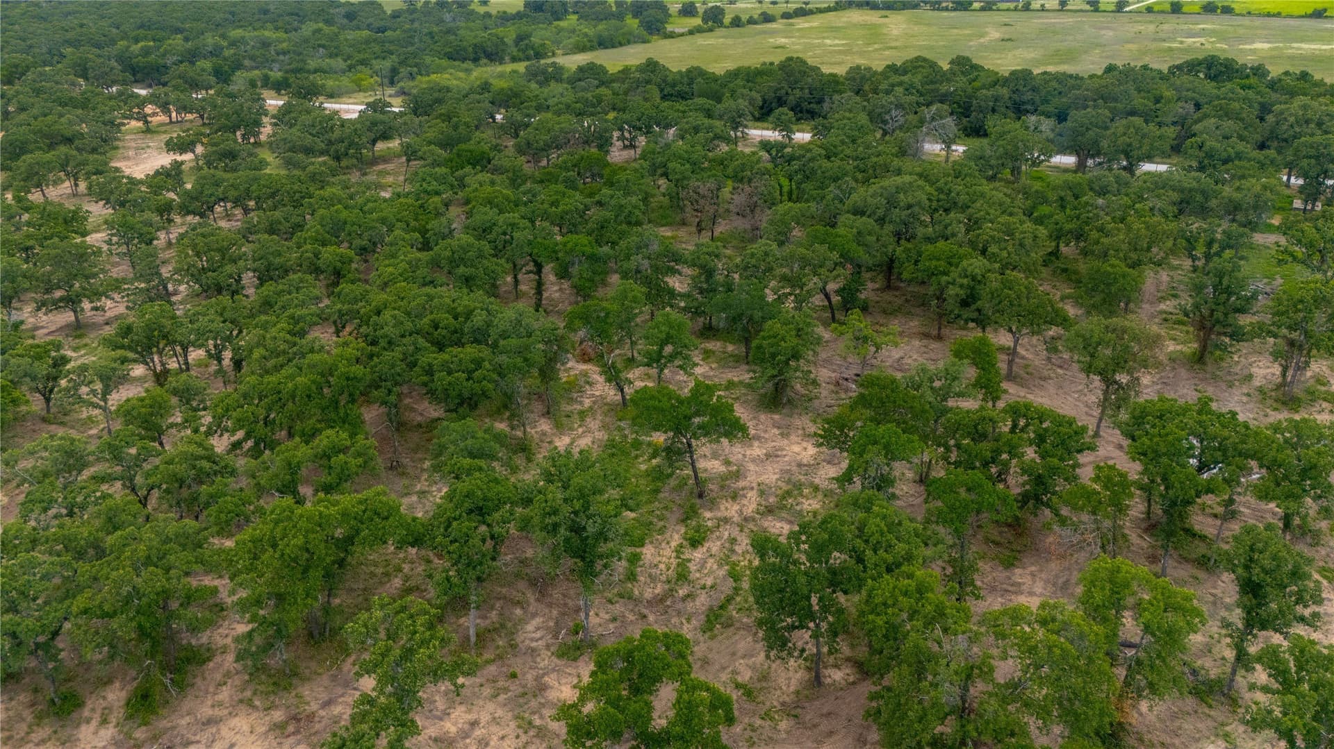 10 acres in Parker County - photo 10