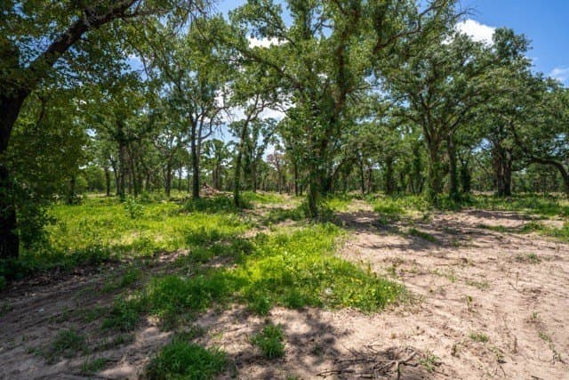 10 acres in Parker County - photo 13
