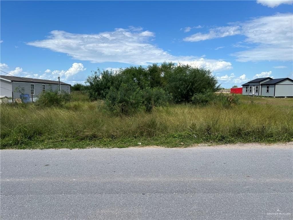 1.15 acres in Hidalgo County gallery image 3