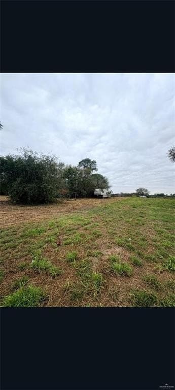 1.15 acres in Hidalgo County gallery image 4