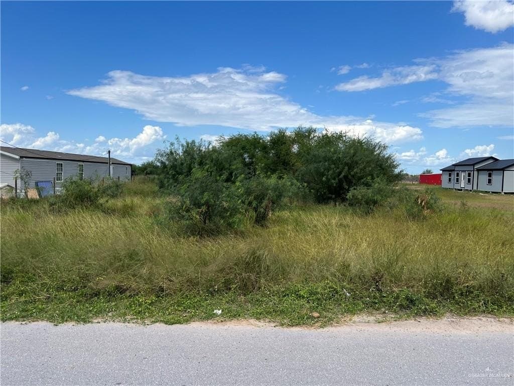 1.15 acres in Hidalgo County gallery image 2