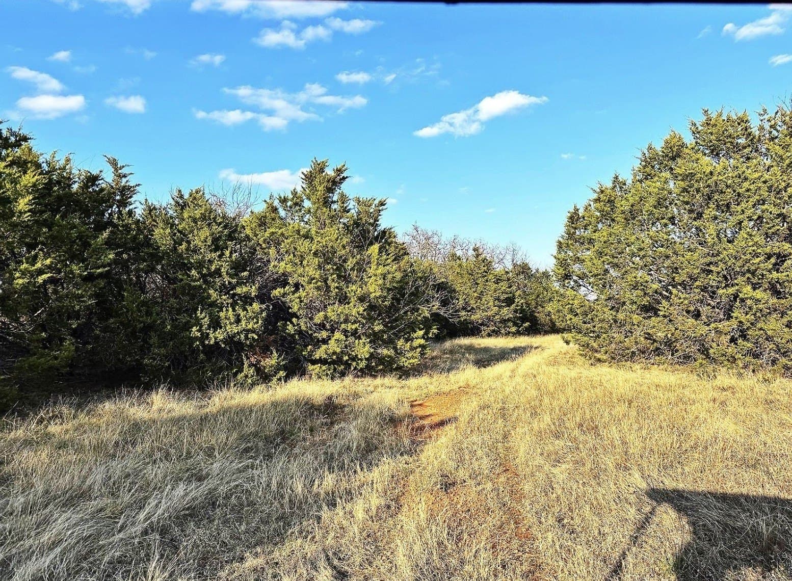40.18 acres in Erath County gallery image 3