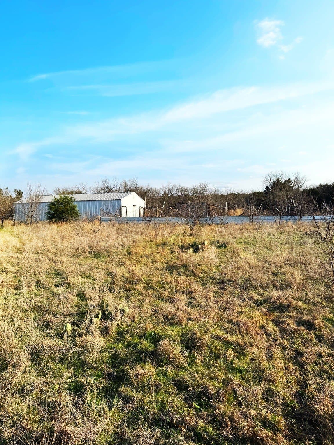 40.18 acres in Erath County - photo 6