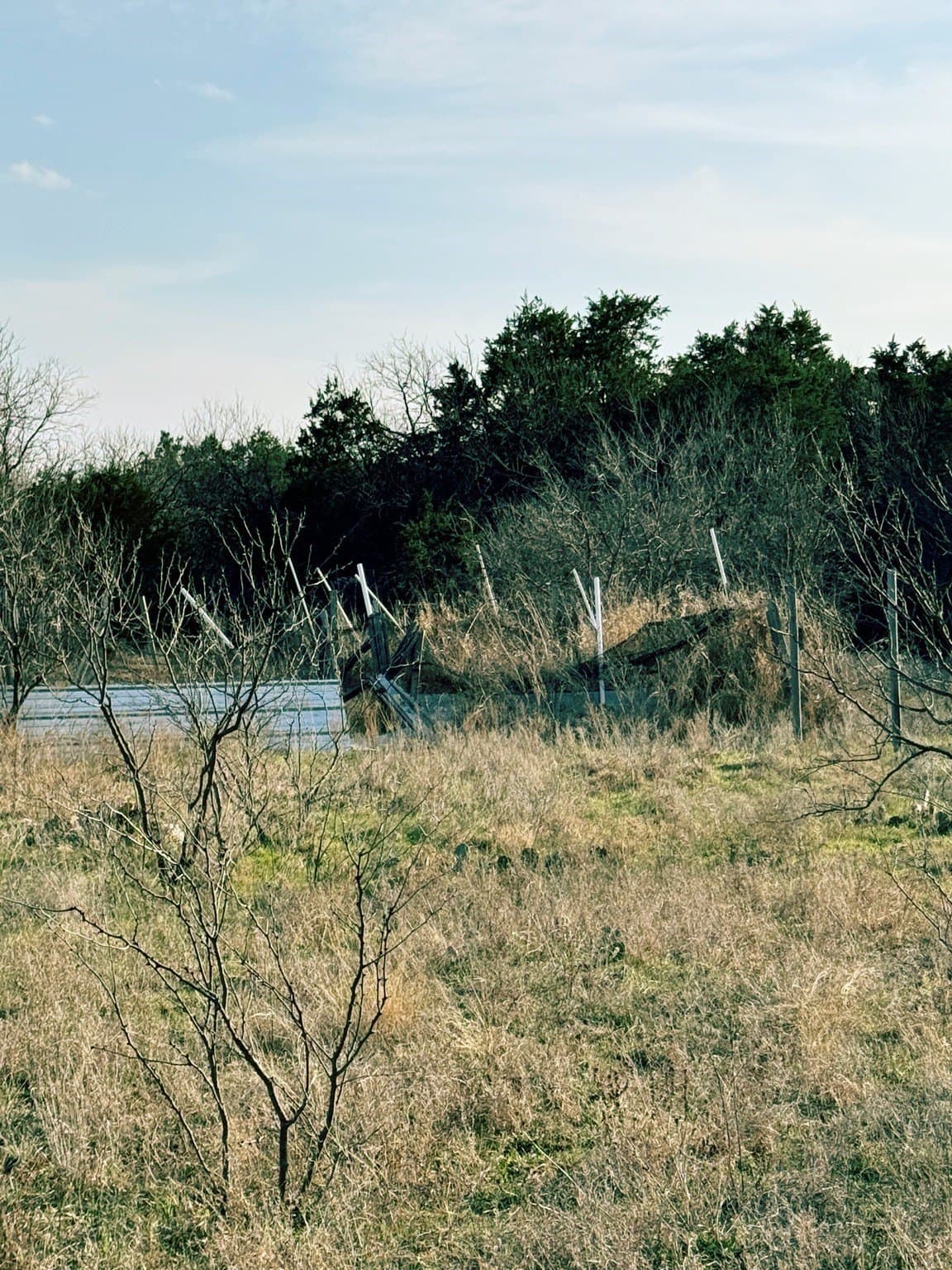 40.18 acres in Erath County - photo 9