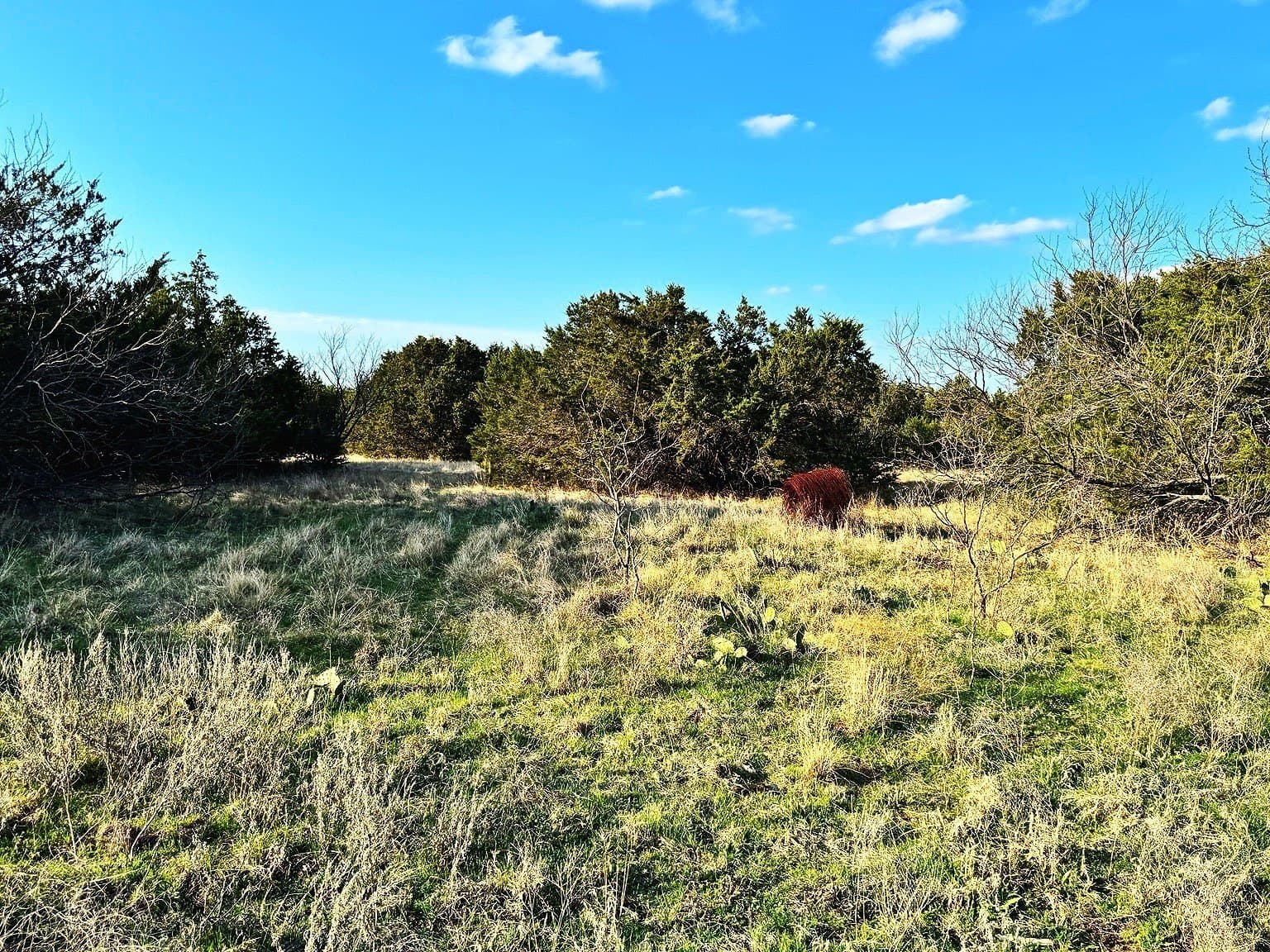 40.18 acres in Erath County - photo 10