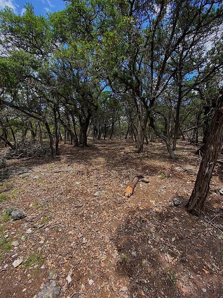 8.8 acres in Bexar County - photo 6