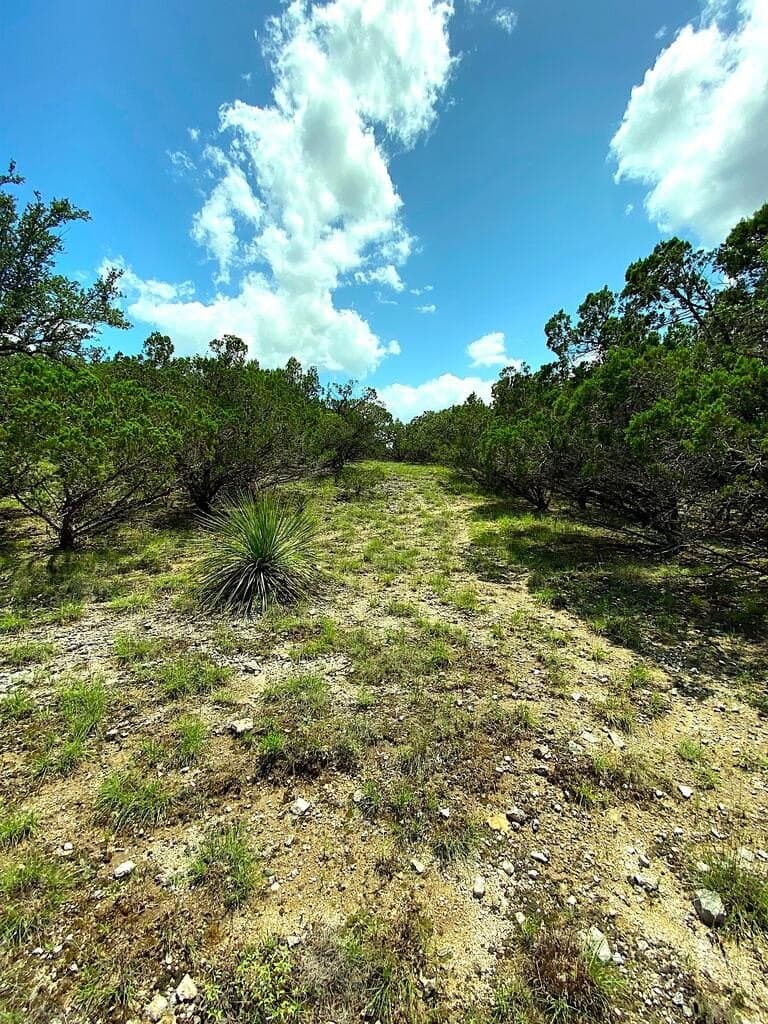 8.8 acres in Bexar County - photo 9