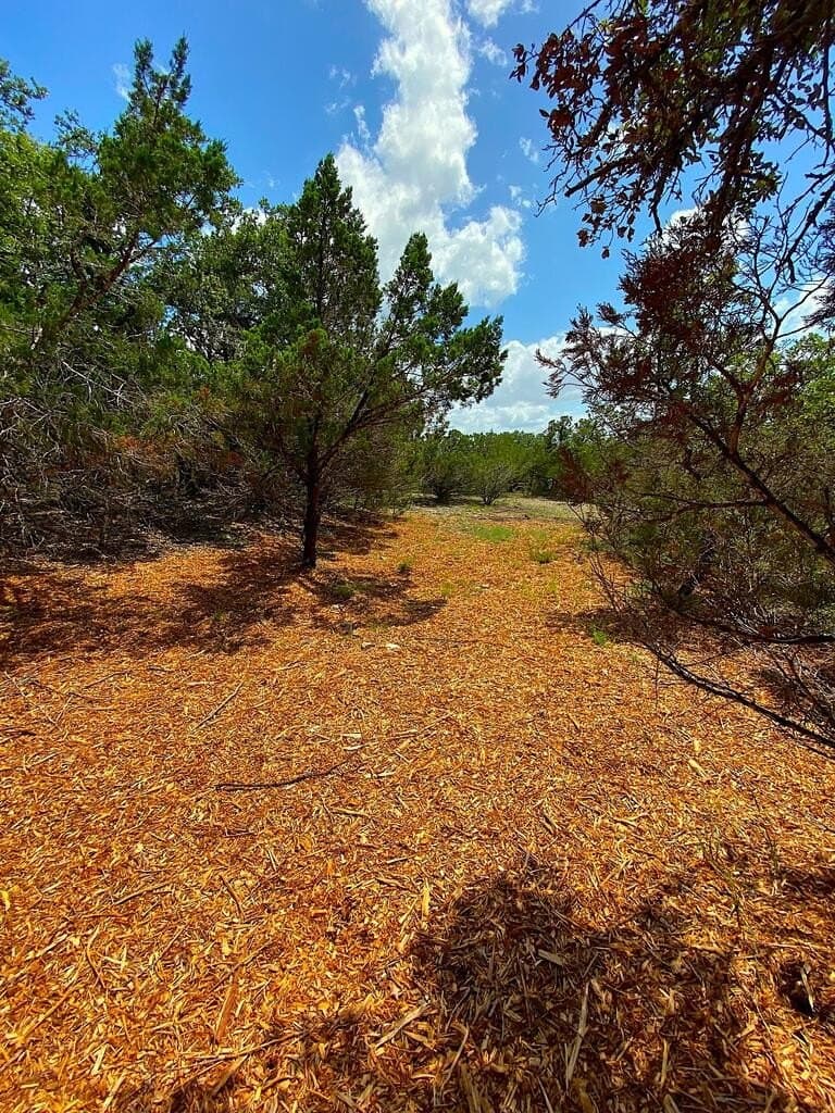 8.8 acres in Bexar County - photo 8