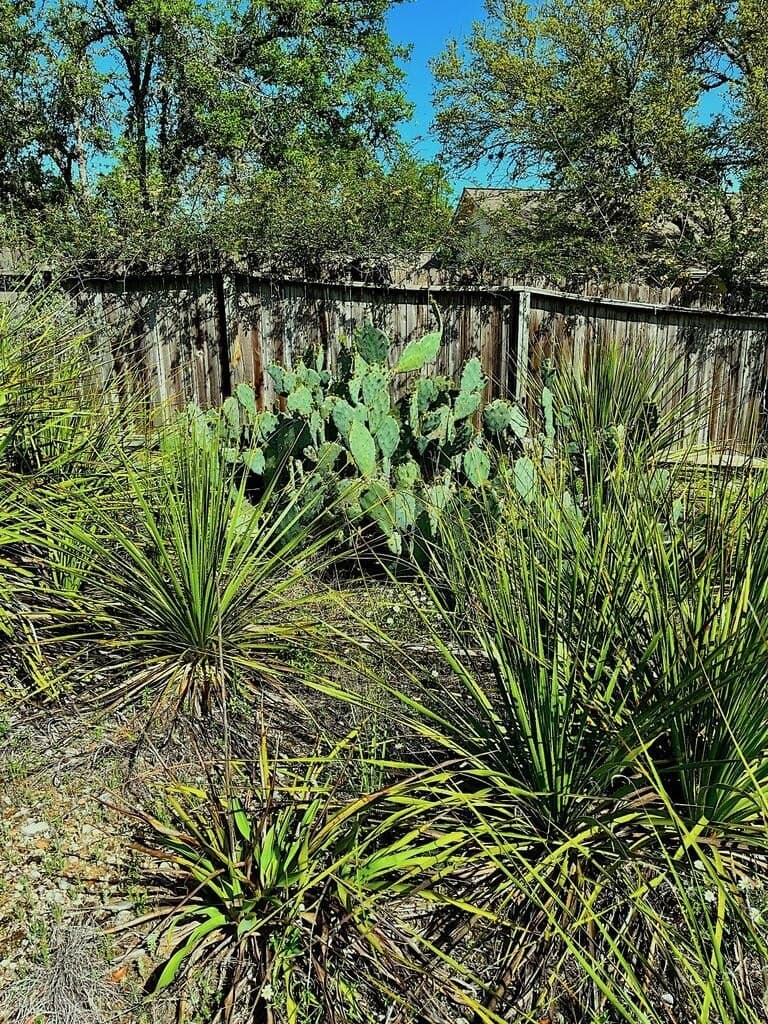 8.8 acres in Bexar County - photo 5