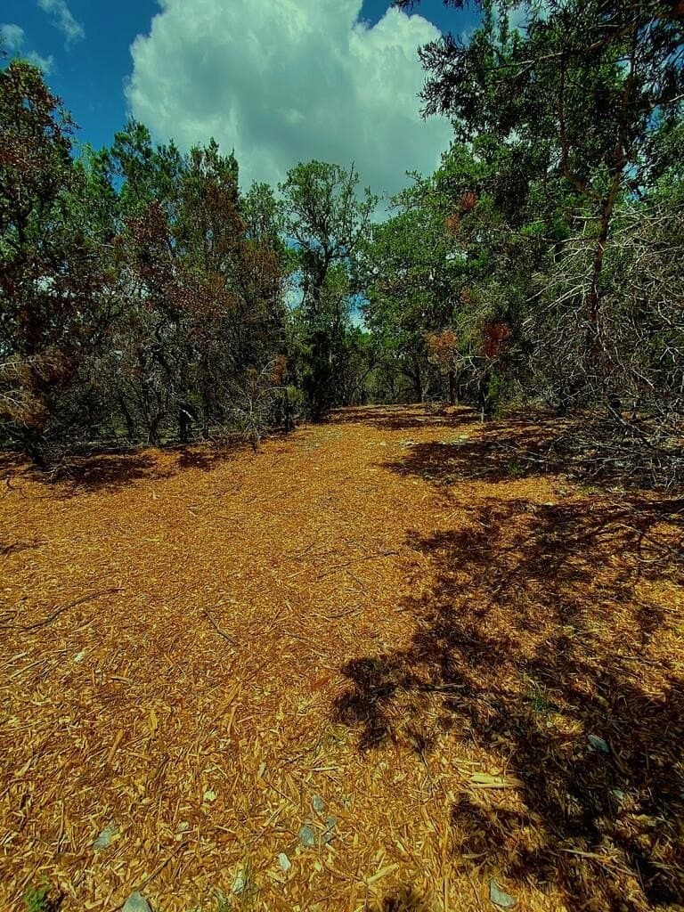 8.8 acres in Bexar County - photo 7